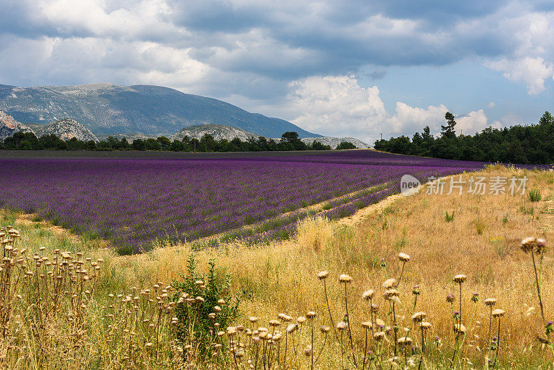 瓦伦索，Roumoules, Germany-en-Provence，诗歌诗人